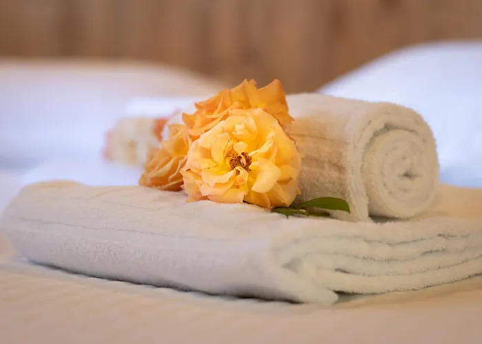 Hébergement de vacances Mare E Monti *