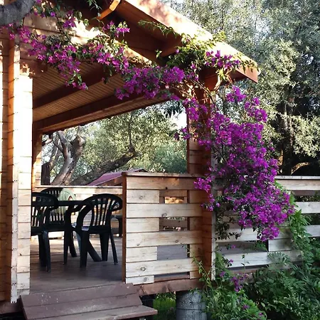 Holiday home Mare E Monti