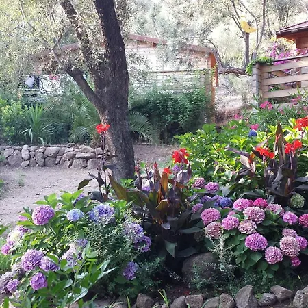 Mare E Monti Holiday home Porto Pollo