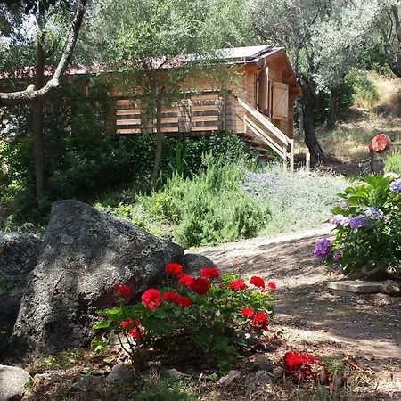 Holiday home Mare E Monti Porto Pollo