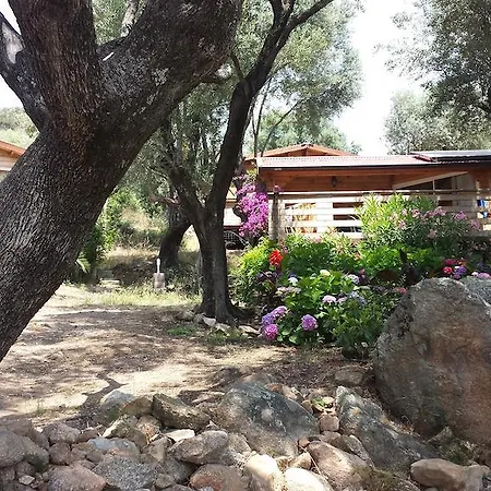 Holiday home Mare E Monti Porto Pollo