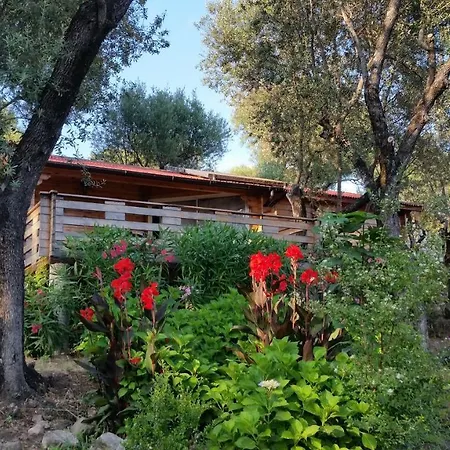 Mare E Monti Holiday home Porto Pollo